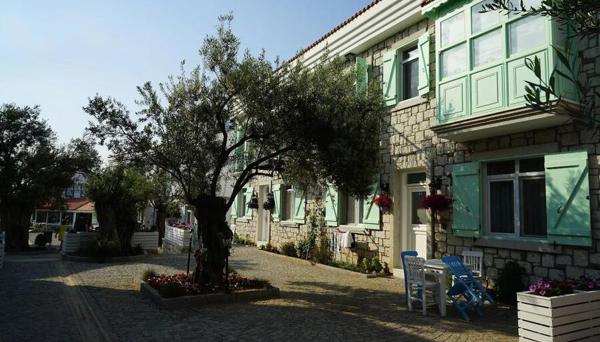 Zeytin Arası Taş Evler