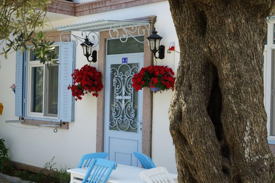 Zeytin Arası Taş Evler