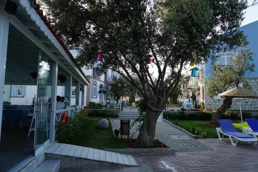 Zeytin Arası Taş Evler