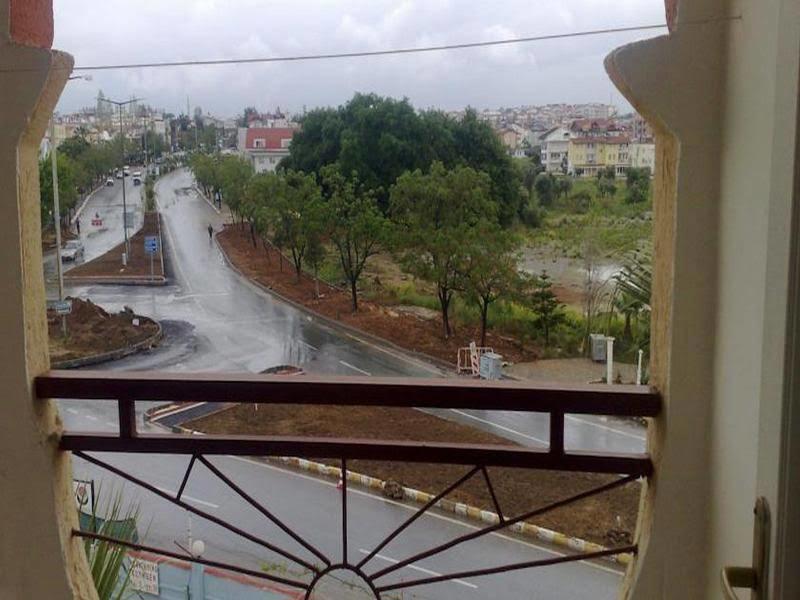 Palmiye
