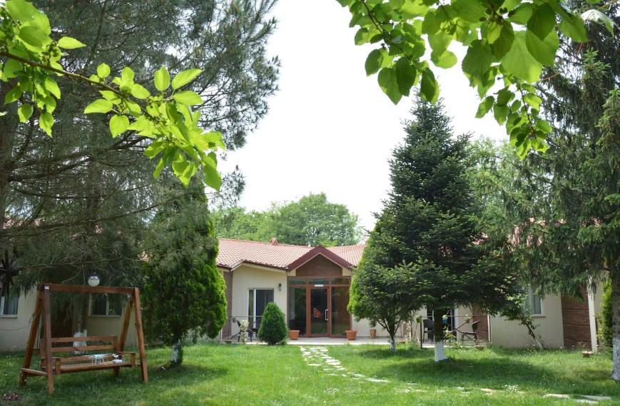 Alex Village Life