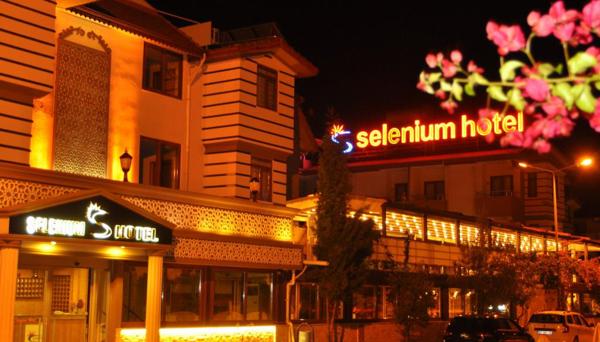 Selenium Hotel