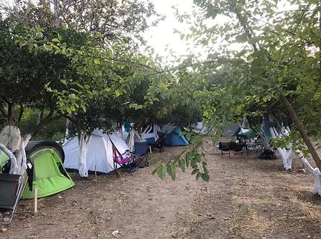 Bodrum Masalı Camping