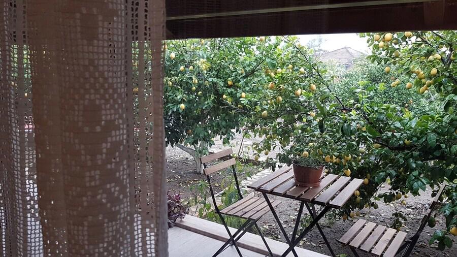 Mandarin Bed & Breakfast