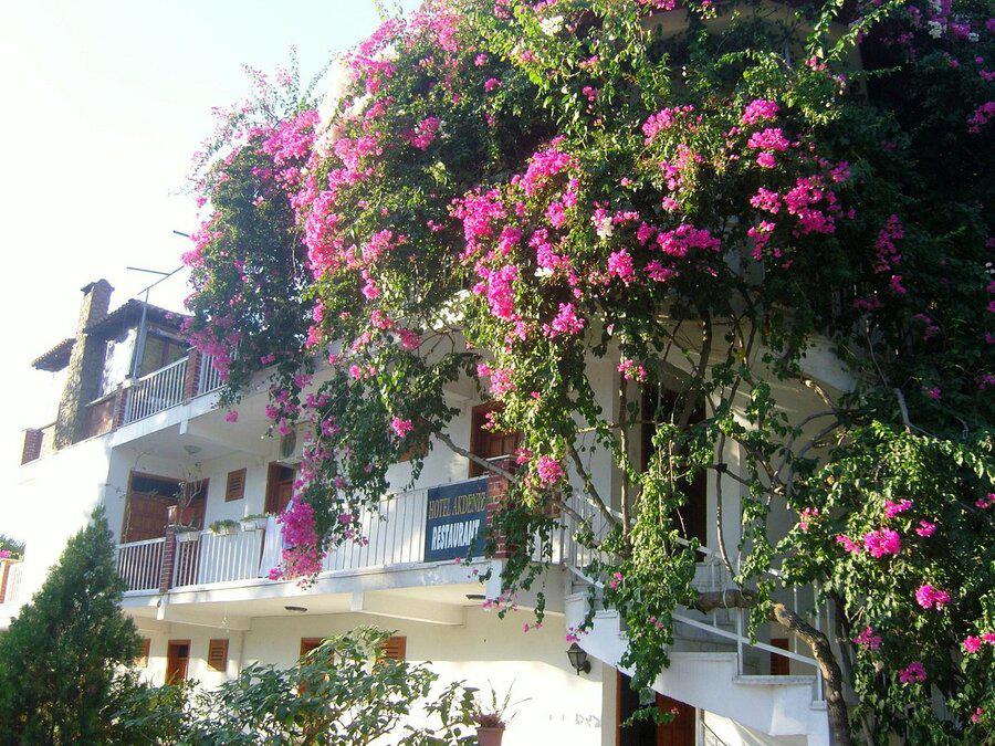 Akdeniz Hotel
