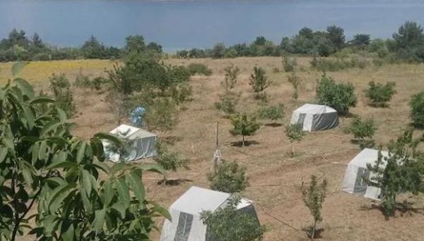 Ilkay Pansiyon Cadir Kampi