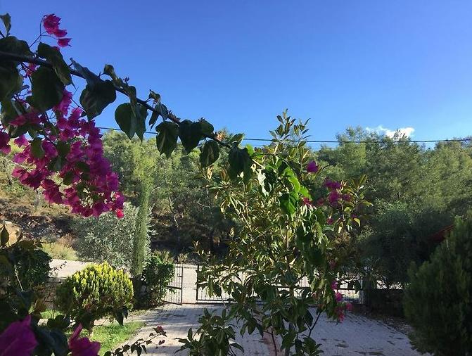 Yanar Villas