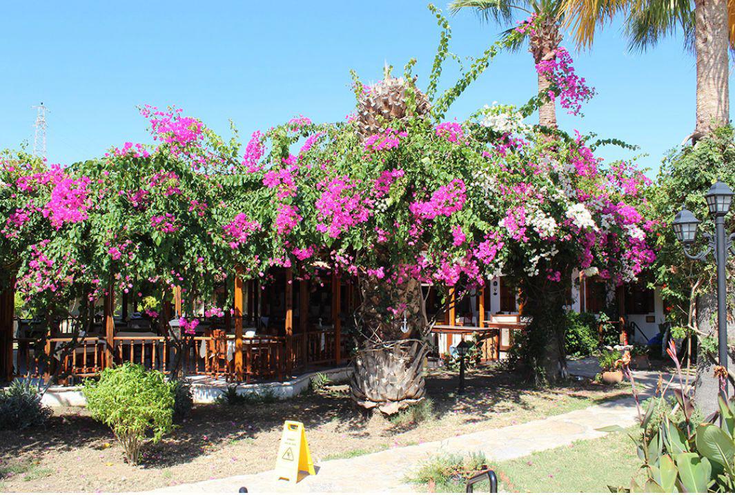 Asur Assyrian Hotel