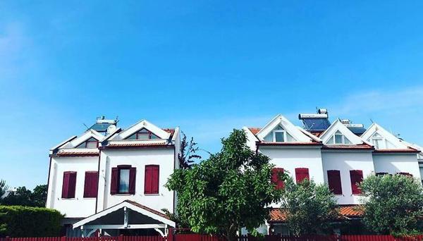 Ayl-Inn Guesthouse