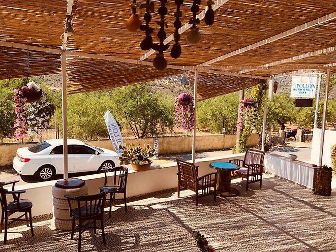 Apollon Butik Otel