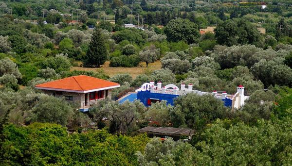 Olive Farm Guesthouse