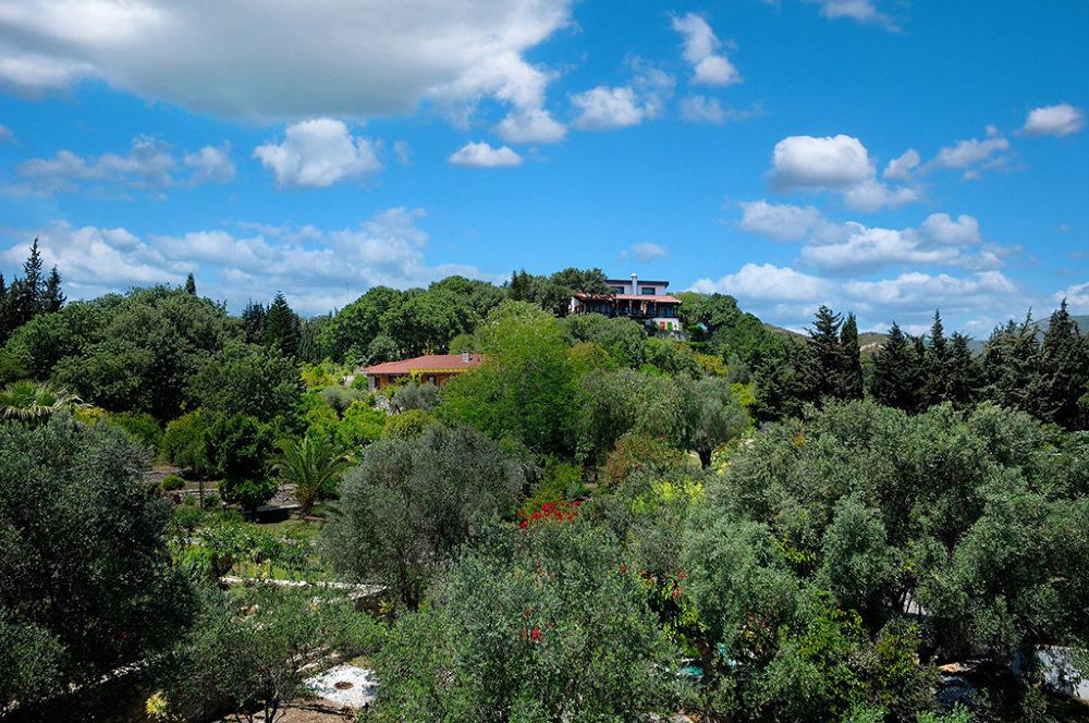 Olive Farm Guesthouse