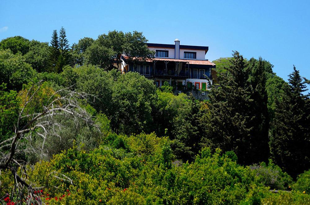 Olive Farm Guesthouse