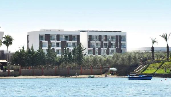 Gold Island Mondo