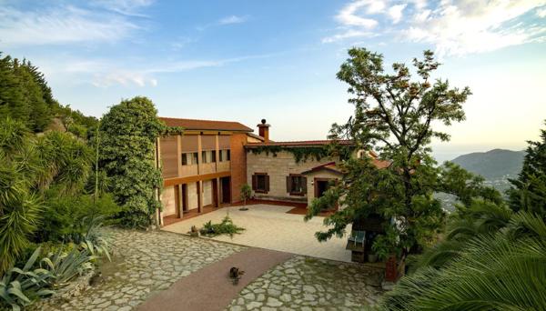 Villa Vino