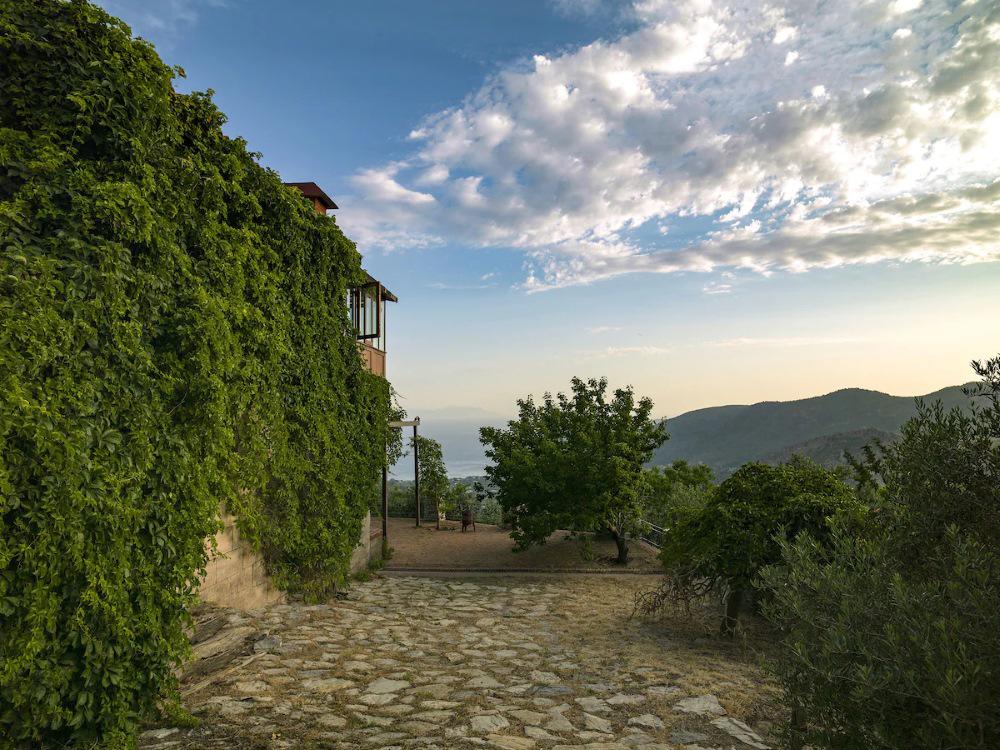 Villa Vino