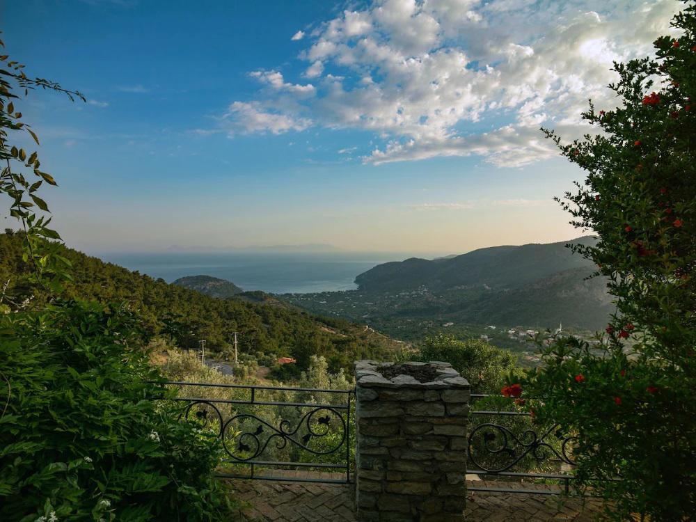 Villa Vino