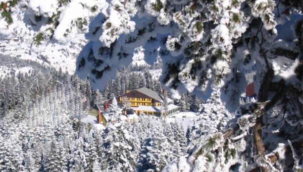 Etap Altinel Ilgaz