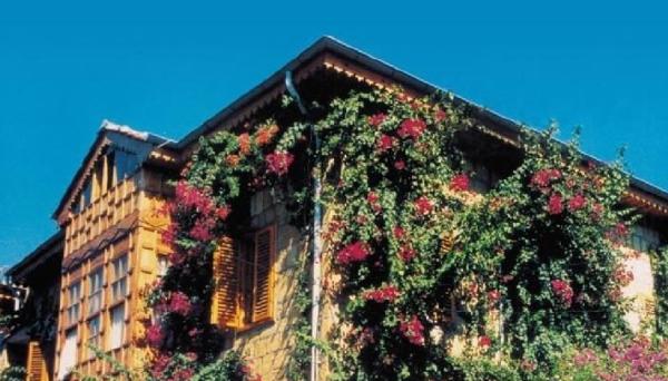 Begonville Pansiyon