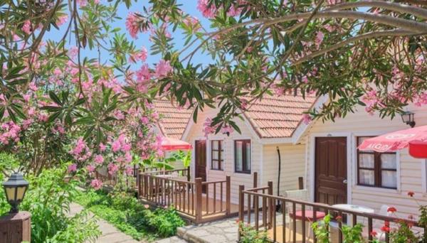 Clover Magic Nova Beach