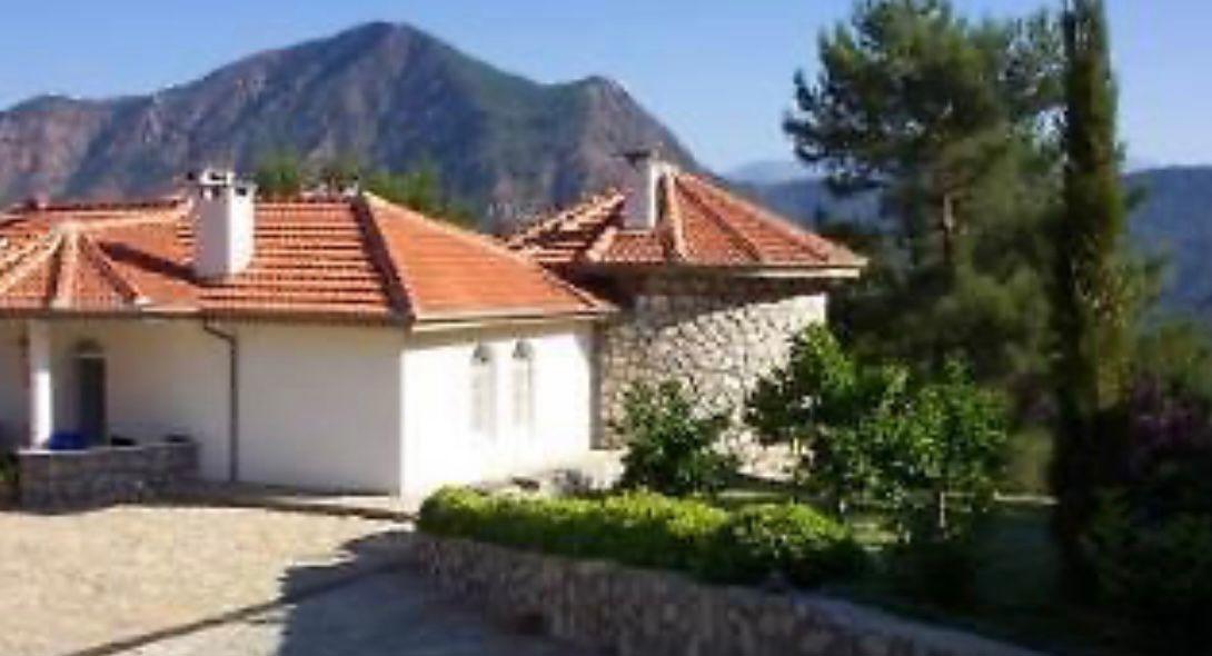 Villa Citrus