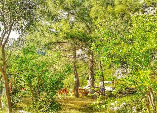 Dionysos Lodge