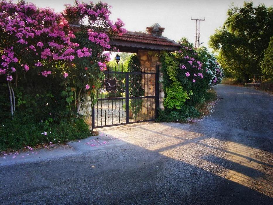 Villa Rhapsody Pension
