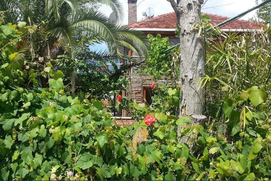 Sun Dalyan Hotel And Organic Farm