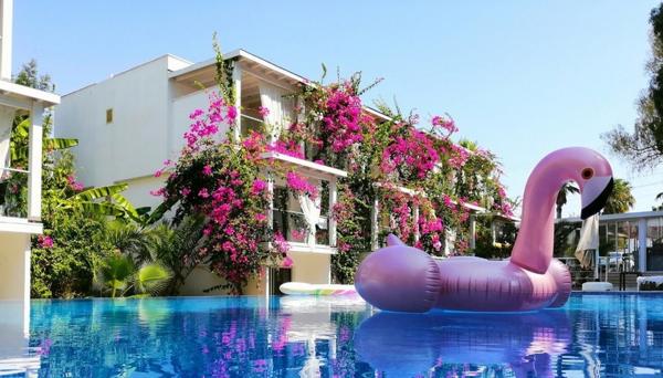 Lu Suites Exclusive