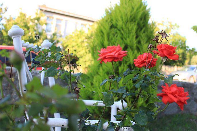 Rumeli Apart Otel