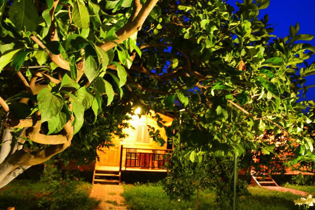Lemon Garden Lodge