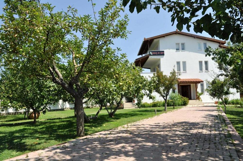 Gökçeada Bağ Evleri
