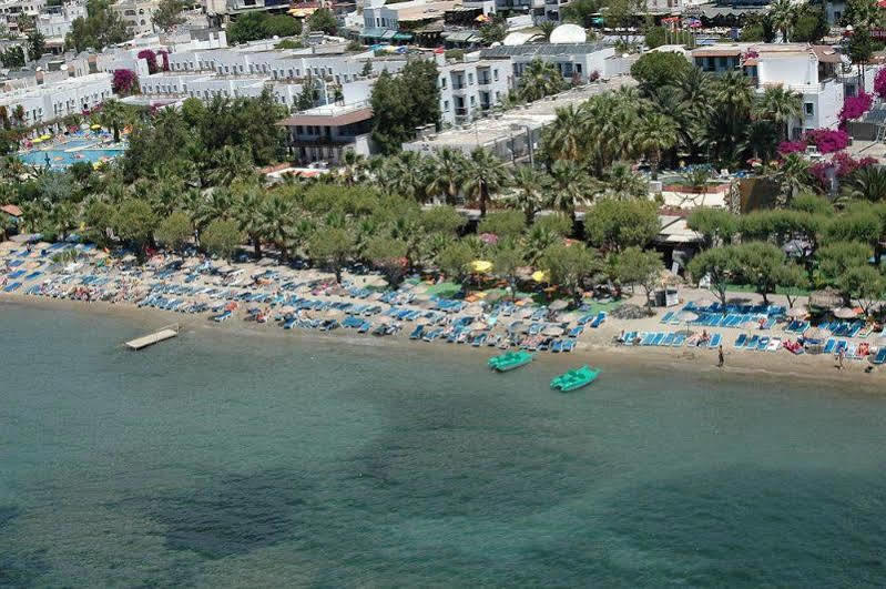 Sami Plaza