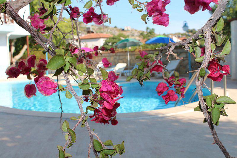 Turtle Beach Hotel