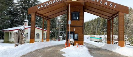 Başkonuş Yaylası Orman Evleri