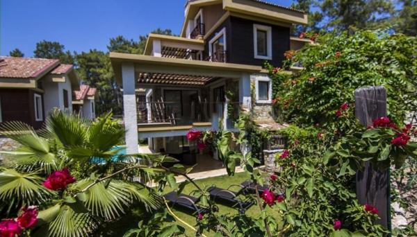 Villa Violet 1 by Villamnet
