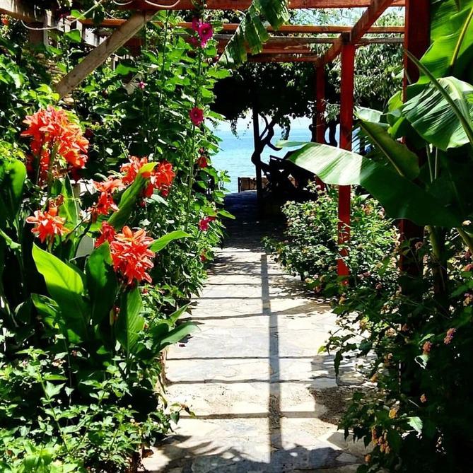 Ergin Pansiyon Restaurant