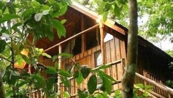 Bayrams Tree Houses