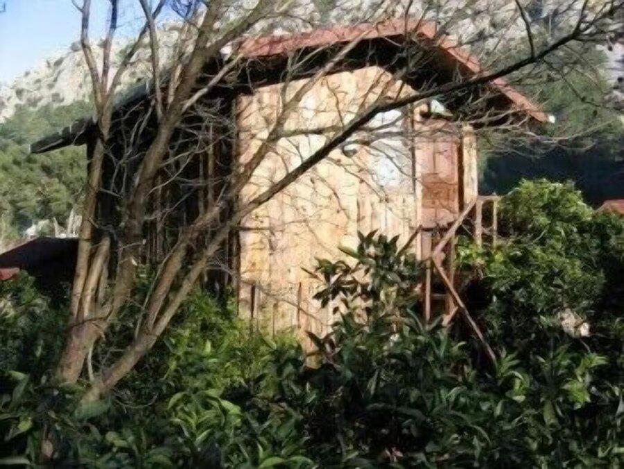 Bayrams Tree Houses
