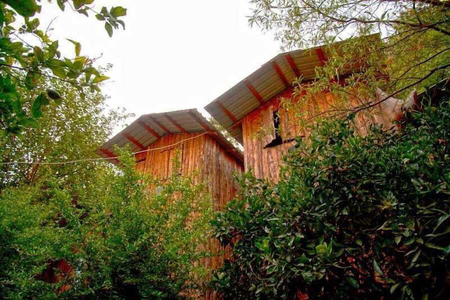 Bayrams Tree Houses