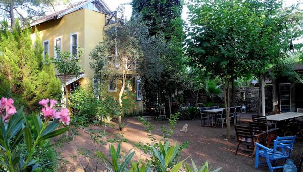 Daphne House