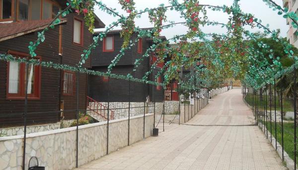 Mucize Su Serpin Manyas Hotel