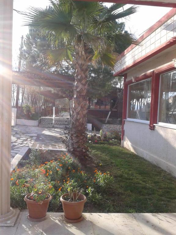 Mucize Su Serpin Manyas Hotel