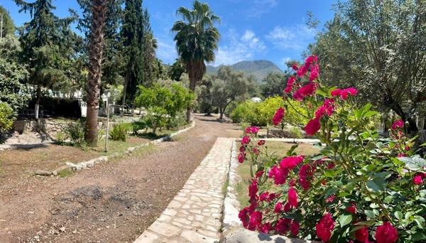 Olympos Angels Garden
