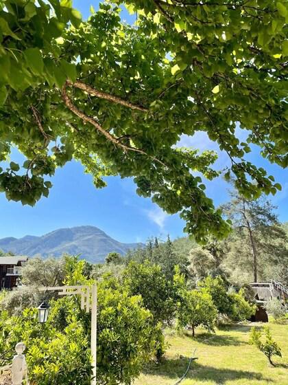 Olympos Angels Garden