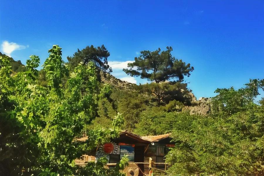 Sirinler Pansiyon