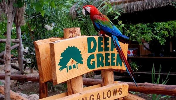 Olympos Deep Green Bungalows