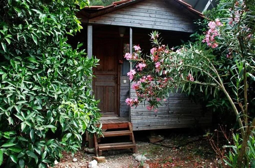Olympos Deep Green Bungalows