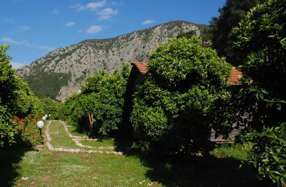 Olympos Deep Green Bungalows