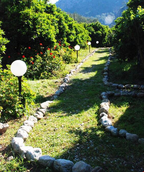 Olympos Deep Green Bungalows